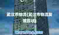 武汉市物流(武汉市物流发展现状)