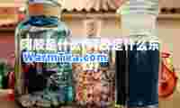 阿胶是什么(阿胶是什么东西)