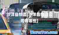 沙洋县物流(沙洋县物流公司有哪些)