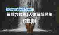 背部穴位图(人体背部经络位置图)