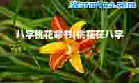 八字桃花书(桃花在八字)