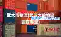 武大市物流(武汉大的物流园在哪里)