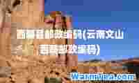 西畴县邮政编码(云南文山西畴邮政编码)
