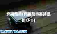 奔腾酷睿(奔腾酷睿赛扬是指CPU)