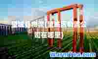 望城县物流(望城区物流公司在哪里)
