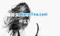 薄荷女人(薄荷女人吃了有什么好处吗)