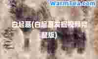 白起墓(白起墓发掘视频完整版)