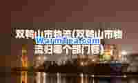 双鸭山市物流(双鸭山市物流归哪个部门管)