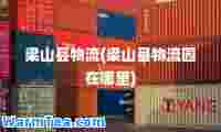 梁山县物流(梁山县物流园在哪里)
