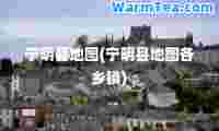 宁明县地图(宁明县地图各乡镇)