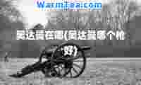 奥达曼在哪(奥达曼哪个枪好)