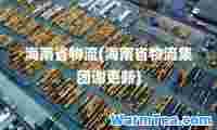 海南省物流(海南省物流集团谢更新)