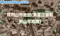 双鸭山市地图(黑龙江省双鸭山市地图)