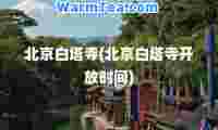 北京白塔寺(北京白塔寺开放时间)