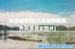 北京植物园(北京植物园图片风景真实图片)