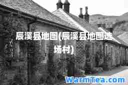 辰溪县地图(辰溪县地图选场村)