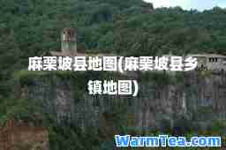 麻栗坡县地图(麻栗坡县乡镇地图)