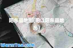 阳东县地图(阳江阳东县地图)