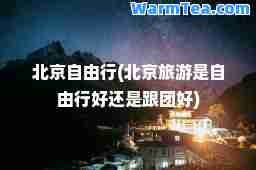 北京自由行(北京旅游是自由行好还是跟团好)
