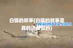 白狐的故事(白狐的故事是真的还是假的)