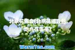 北京花博会(北京花博会的地点在哪里)
