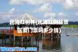 北海红树林(北海红树林景区要门票吗多少钱)