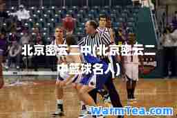 北京密云二中(北京密云二中篮球名人)