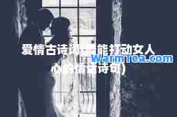爱情古诗词(最能打动女人心的情话诗句)