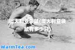 澳大利亚袋鼠(澳大利亚袋鼠有多少只)