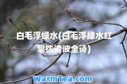 白毛浮绿水(白毛浮绿水红掌拨清波全诗)