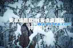 安卓桌面软件(安卓桌面软件开发)