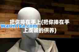 把你捧在手上(把你捧在手上虔诚的供养)