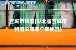 宜城市物流(湖北省宜城市物流公司哪个最便宜)