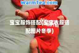 宝宝服饰搭配(宝宝衣服搭配图片冬季)