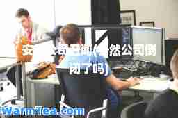 安然公司丑闻(安然公司倒闭了吗)