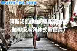 阿斯汤加瑜伽(阿斯汤加瑜伽初级序列体式图高清)