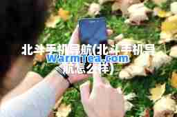 北斗手机导航(北斗手机导航怎么样)