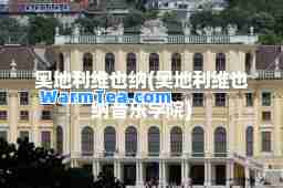 奥地利维也纳(奥地利维也纳音乐学院)