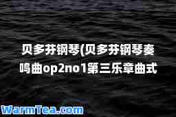贝多芬钢琴(贝多芬钢琴奏鸣曲op2no1第三乐章曲式结构)