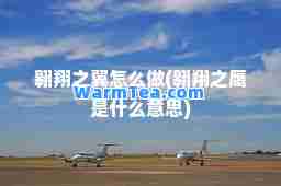 翱翔之翼怎么做(翱翔之鹰是什么意思)