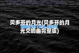 贝多芬的月光(贝多芬的月光交响曲完整版)
