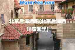 北京后海酒吧(北京后海酒吧在哪里)