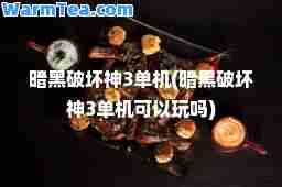 暗黑破坏3单机(暗黑破坏3单机可以玩吗)