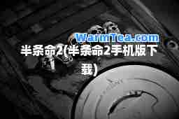 半条2(半条2手机版下载)