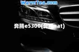 奔腾e5300(奔腾nat)