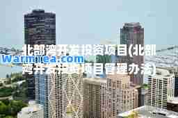 北部湾开发投资项目(北部湾开发投资项目管理办法)