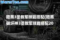 暗黑3圣教军技能搭配(暗黑破坏3圣教军技能搭配2020)
