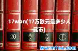 17wan(17万欧元是多少人民币)