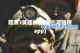 暗黑3英雄榜(暗黑三英雄榜app)