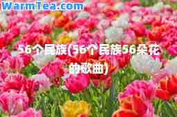 56个民族(56个民族56朵花的歌曲)